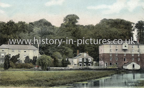 Ware Park Hills, Ware, Hertfordshire. c.1907